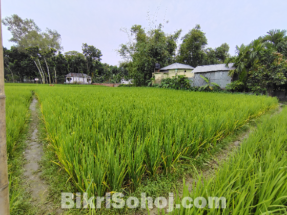 ৬ শতাংশ জমি বিক্রিয় হবে।